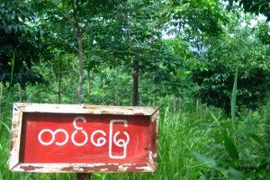 GanTaw Army-Land Signboard (12) (1)